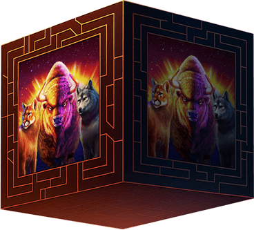 Cube